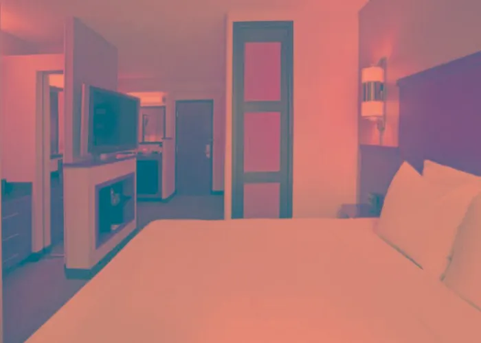 Hotel Hyatt Place Chicago