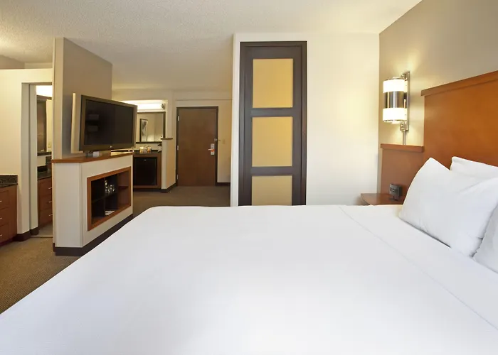 Hyatt Place Chicago Hotel