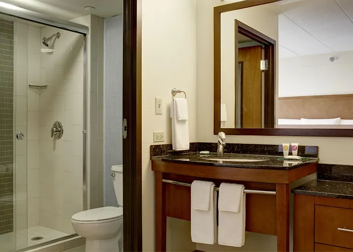 Hotel Hyatt Place Chicago