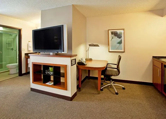 Hyatt Place Chicago 3*