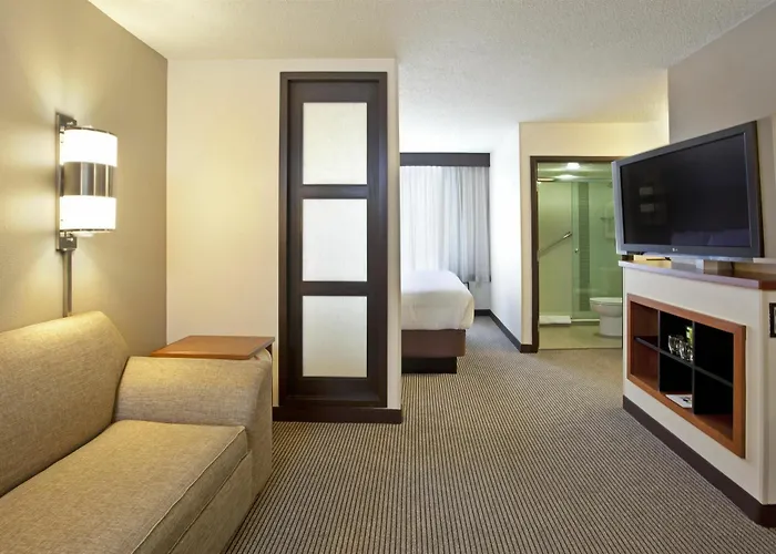 Hyatt Place Chicago Hotel 3*